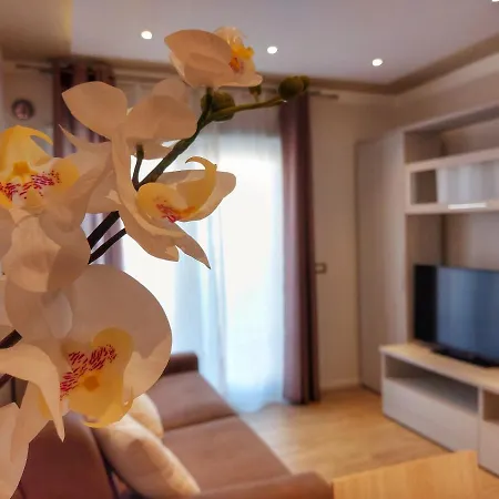 アパート La Ginestra C&b House カステル・ディ・サングロ